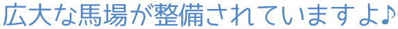 広大な馬場が整備されていますよ♪